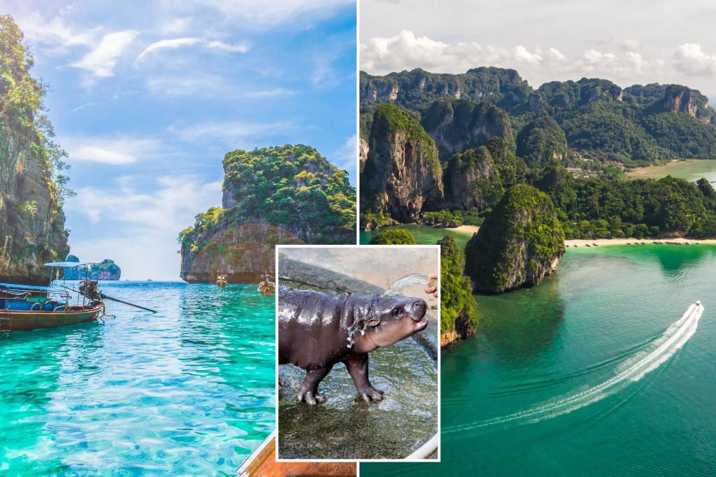 The Moo Deng Effect? Thailand has been named 'destination of the year' by top travel experts