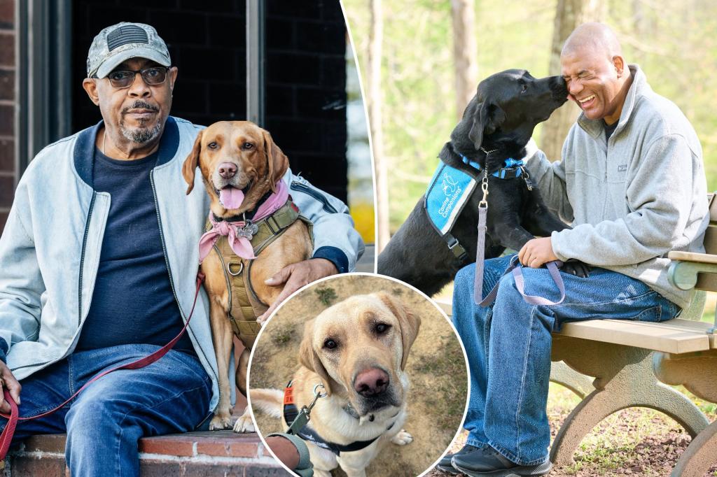 Military veterans say these dogs saved them from crippling PTSD - 'He has completely changed my life'